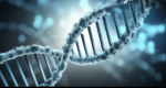 DNA methylation